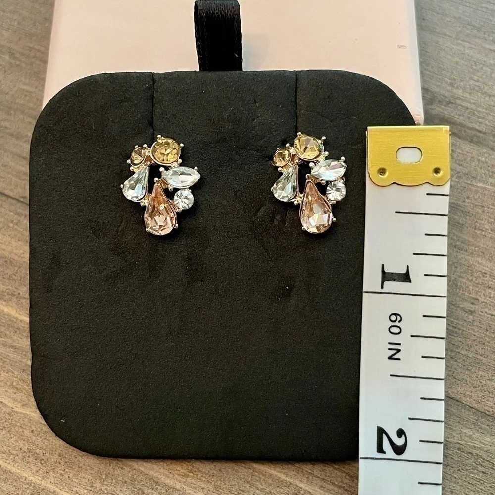 Pastel Crystal earrings